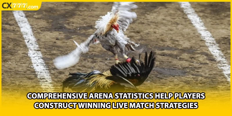 Comprehensive arena statistics help players construct winning live match strategies