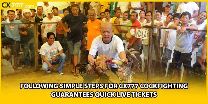 Following simple steps for CX777 cockfighting guarantees quick live tickets
