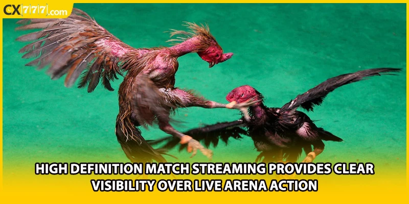 High definition match streaming provides clear visibility over live arena action